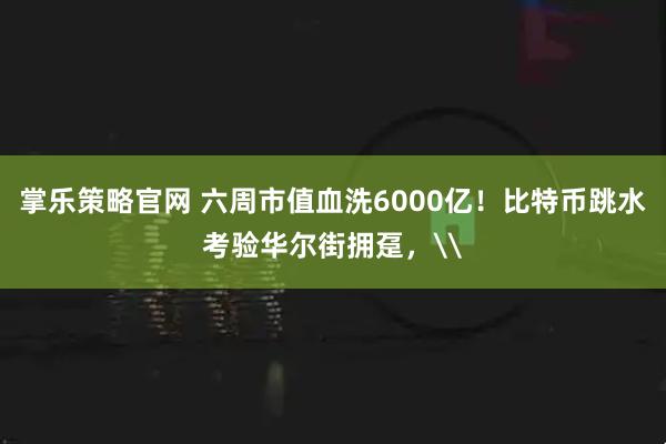 掌乐策略官网 六周市值血洗6000亿！比特币跳水考验华尔街拥趸，\