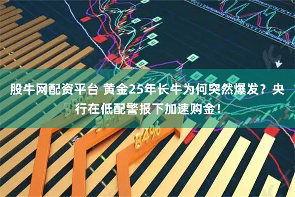 股牛网配资平台 黄金25年长牛为何突然爆发？央行在低配警报下加速购金！