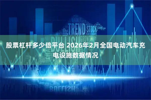 股票杠杆多少倍平台 2026年2月全国电动汽车充电设施数据情况