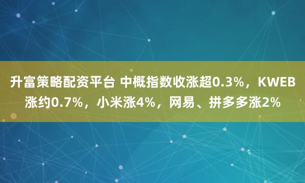 升富策略配资平台 中概指数收涨超0.3%，KWEB涨约0.7%，小米涨4%，网易、拼多多涨2%